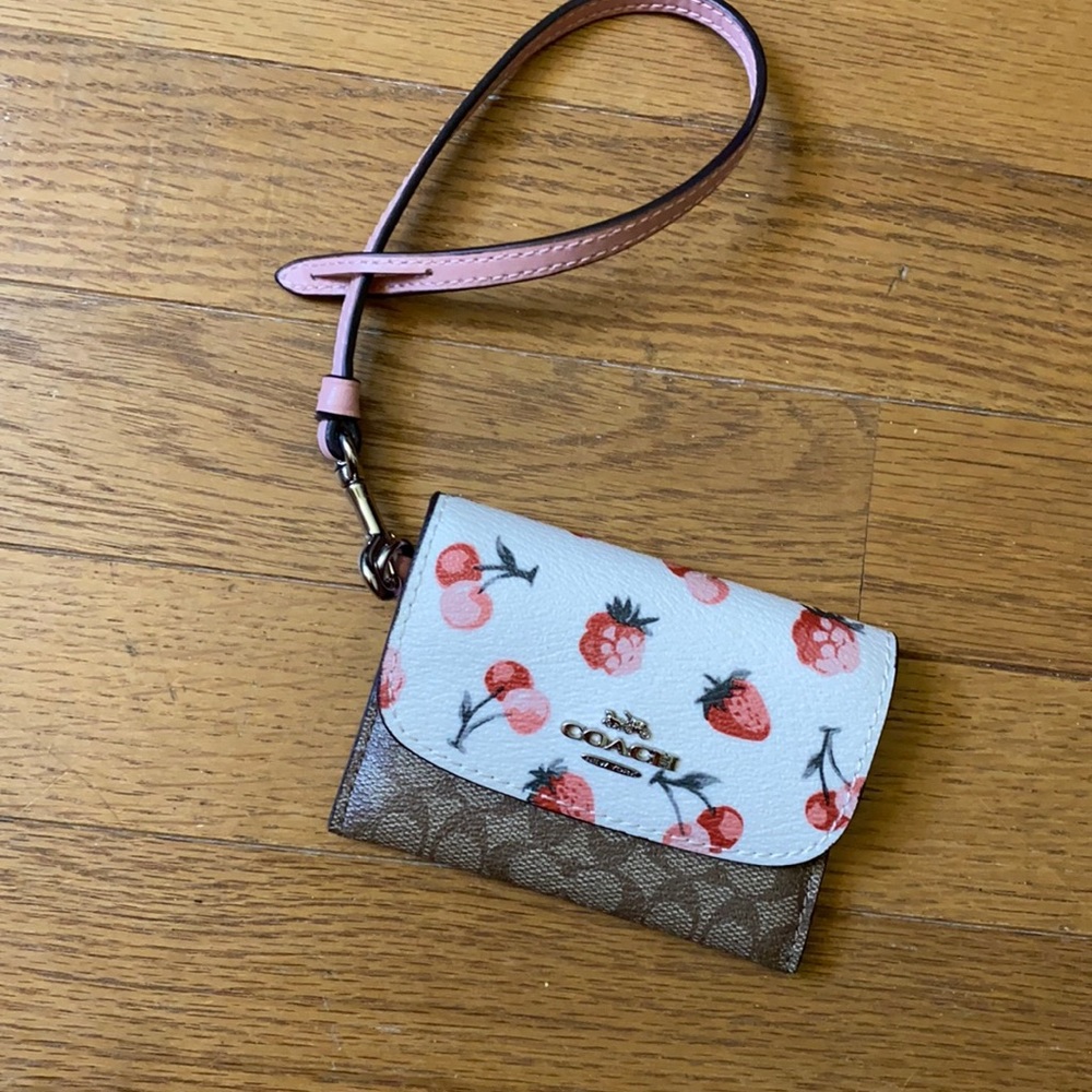 Card pouch